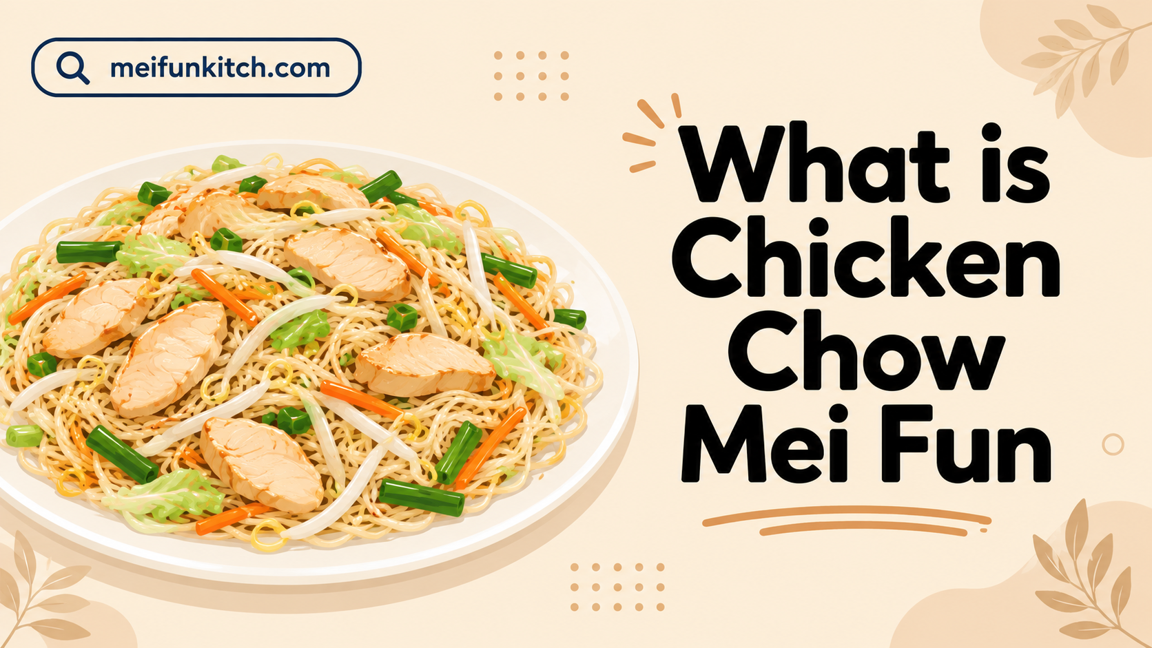 What is Chicken Chow Mei Fun